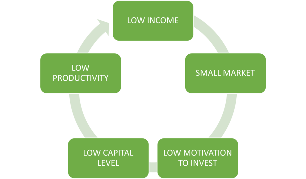 Vicious circle of poverty: demand side