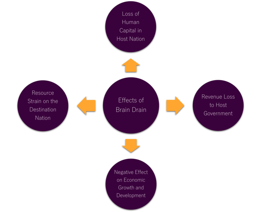 Effects of Brain Drain